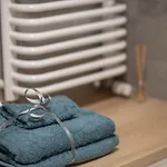 Vip Apartament